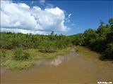 Reserva Natural las Cabezas de San Juan - FAJARDO